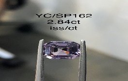 YC/SP162