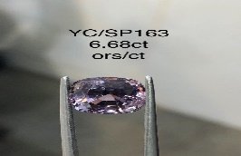 YC/SP163