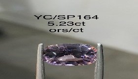 YC/SP164