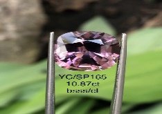 YC/SP165