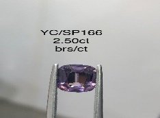YC/SP166