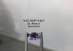 YC/SP167