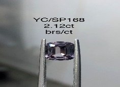 YC/SP168