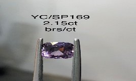 YC/SP169