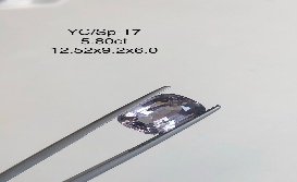 YC/SP17