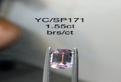 YC/SP171