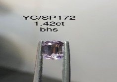 YC/SP172