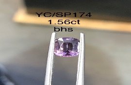YC/SP174