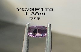 YC/SP175