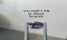 YC/SP176