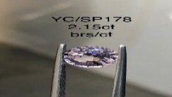 YC/SP178