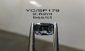 YC/SP179