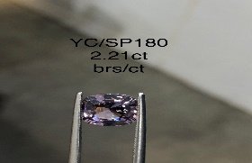 YC/SP180