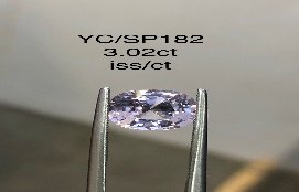 YC/SP182