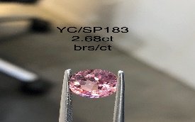 YC/SP183