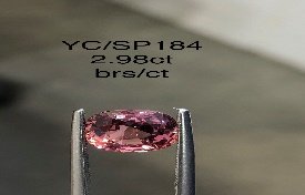 YC/SP184