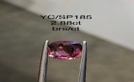 YC/SP185