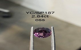 YC/SP187