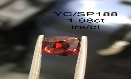 YC/SP188