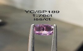 YC/SP189