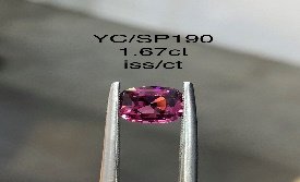 YC/SP190