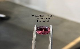 YC/SP191