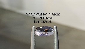 YC/SP192
