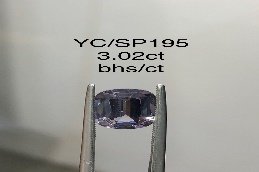 YC/SP195