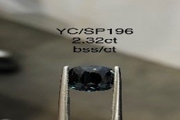 YC/SP196