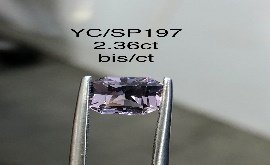 YC/SP197