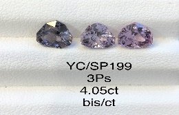 YC/SP199
