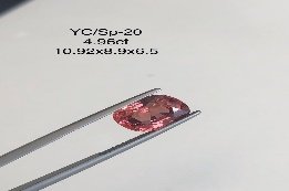YC/SP20