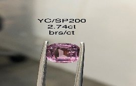 YC/SP200