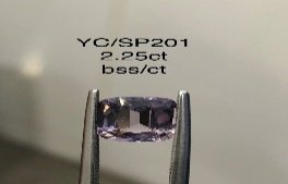 YC/SP201