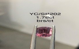 YC/SP202