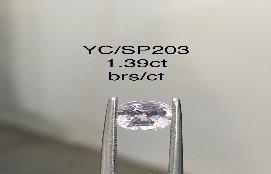 YC/SP203