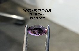 YC/SP205