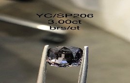 YC/SP206