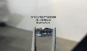YC/SP209