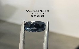 YC/SP210