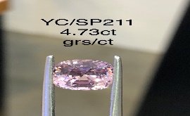 YC/SP211