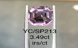 YC/SP213