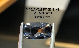 YC/SP214