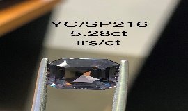 YC/SP216