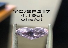 YC/SP217
