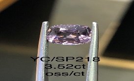 YC/SP218