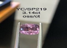 YC/SP219