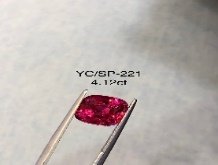 YC/SP221