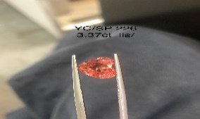 YC/SP226