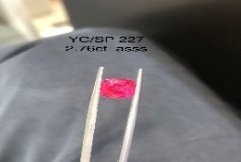 YC/SP227